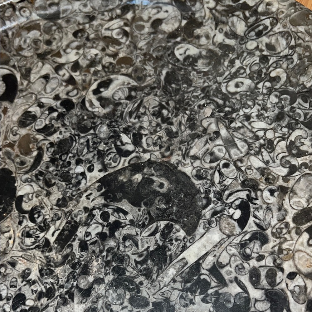 AMMONITE PLATE - Picture 3 of 10